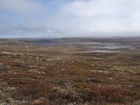 N, Buskerud, Hol, Tuva turisthytte 63, Saxifraga-Willem van Kruijsbergen