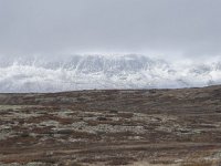 N, Buskerud, Hol, Tuva turisthytte 83, Saxifraga-Willem van Kruijsbergen