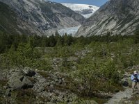 N, Sogn og Fjordane, Luster, Nigardsbreen 28, Saxifraga-Marijke Verhagen