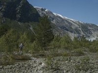 N, Sogn og Fjordane, Luster, Nigardsbreen 29, Saxifraga-Marijke Verhagen