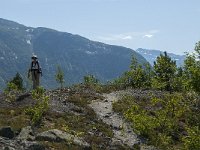 N, Sogn og Fjordane, Luster, Nigardsbreen 4, Saxifraga-Jan van der Straaten