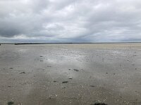 NL, Groningen, Het Hogeland, Pieterburen 20, Saxifraga-Willem van Kruijsbergen