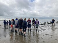 NL, Groningen, Het Hogeland, Pieterburen 81, Saxifraga-Willem van Kruijsbergen