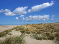 NL, Noord-Holland, Texel, paal 29 1, Saxifraga-Foto Fitis-Sytske Dijksen