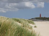 NL, Noord-Holland, Texel, paal 32 1, Saxifraga-Foto Fitis-Sytske Dijksen
