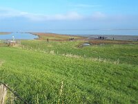 NL, Zeeland, Sluis, Voorland Nummer Een 2, Saxifraga-Tom Heijnen