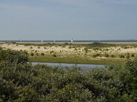 NL, Zuid-Holland, Goeree-Overflakkee, Kwade Hoek 19, Saxifraga-Willem van Kruijsbergen