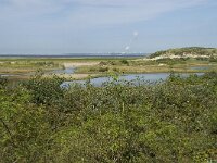 NL, Zuid-Holland, Goeree-Overflakkee, Kwade Hoek 23, Saxifraga-Willem van Kruijsbergen