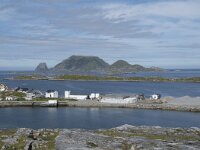 N, Finnmark, Nordkapp, Gjesvaer 2, Saxifraga-Willem van Kruijsbergen