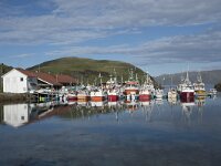 N, Finnmark, Nordkapp, Gjesvaer 51, Saxifraga-Willem van Kruijsbergen