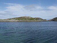 N, Finnmark, Nordkapp, Gjesvaer 8, Saxifraga-Willem van Kruijsbergen