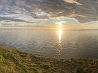 N, Finnmark, Nordkapp, Nordkapp 58, midnight sun, Saxifraga-Willem van Kruijsbergen