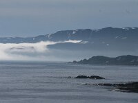 N, Finnmark, Sor Varanger, Varangerfjord 6, Saxifraga-Dirk Hilbers