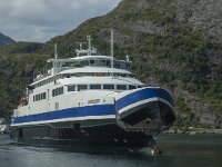 N, Innlandet, Moskenes 3, Saxifraga-Marijke Verhagen