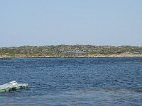 N, More og Romsdal, Averoy, Atlanterhavsvegen 34, Saxifraga-Annemiek Bouwman