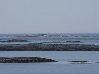 N, More og Romsdal, Fraena, Fagervika 4, Saxifraga-Willem van Kruijsbergen