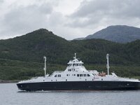 N, Nordland, Alstahaug, Langholmen 8, Saxifraga-Willem van Kruijsbergen