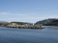 N, Nordland, Bindal, Holm 2, Saxifraga-Willem van Kruijsbergen