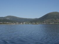 N, Nordland, Hadsel, Melbu 5, Saxifraga-Willem van Kruijsbergen