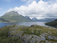 N, Nordland, Luroy, Stokkvagen 3, Saxifraga-Willem van Kruijsbergen