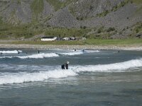 N, Nordland, Vestvagoy, Unstad 14, Saxifraga-Willem van Kruijsbergen