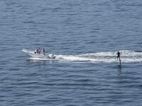 N, Oslo, Oslofjord 42, Saxifraga-Willem van Kruijsbergen