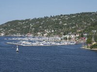 N, Oslo, Oslofjord 49, Saxifraga-Willem van Kruijsbergen