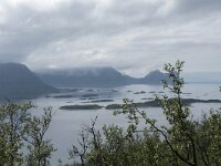 N, Troms, Senja, Skaland, Sommardalen 10, Saxifraga-Willem van Kruijsbergen