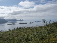 N, Troms, Senja, Skaland, Sommardalen 12, Saxifraga-Willem van Kruijsbergen