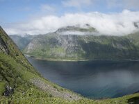 N, Troms, Senja, Steinfjorden 2, Saxifraga-Willem van Kruijsbergen
