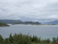 N, Troms, Tromso, Sommaroy 3, Saxifraga-Willem van Kruijsbergen