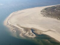 NL, Noord-Holland, Texel, De Hors 165, Saxifraga-Foto Fitis-Sytske Dijksen