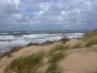 NL, Noord-Holland, Texel, Paal 14 8, Saxifraga-Foto Fitis-Sytske Dijksen