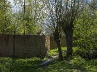 NL, Noord-Brabant, Lith, Lithse eendenkooi 5, Saxifraga-Jan van der Straaten