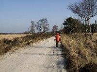 B, Antwerpen, Kalmthout, Kalmthoutse Heide 16, Saxifraga-Jan van der Straaten