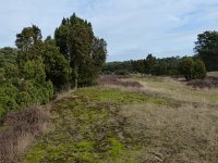 NL, Overijssel, Ommen, Beerze 1, Saxifraga-Mark Zekhuis