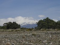 E, Granada, Albunuelas 3, Saxifraga-Willem van Kruijsbergen