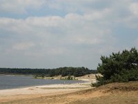 B, Limburg, Lommel, Sahara 20, Saxifraga-Jan van der Straaten