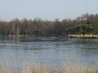 B, Antwerpen, Merksplas, Zandvenheide, Zwartwater 8, Saxifraga-Willem van Kruijsbergen