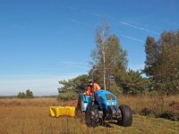 NL, Drenthe, Westerveld, Holtingerveld 1, Saxifraga-Hans Dekker