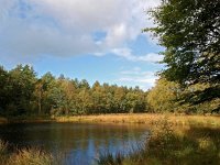 NL, Groningen, Westerwold, Sellingen 1, Saxifraga-Hans Dekker