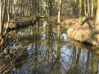 NL, Noord-Brabant, Bergeijk, De Beeken, vloeiweide 1, Saxifraga-Jan van der Straaten