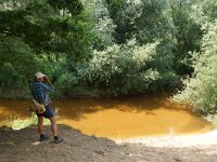 NL, Overijssel, Dinkelland, Dinkel 5, Saxifraga-Foto Fitis-Sytske Dijksen