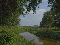 NL, Noord-Brabant, Oisterwijk, Reusel 14, Saxifraga-Jan van der Straaten