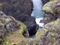 IS, Nordurland vestra, Hunabing vestra, Kolugljuffur 1, Saxifraga-Mira, Hoogenboom