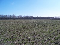 208-542,O,25-03-2012,NL,Piet de Geus,52.86735 NB-6.1827 OL,Westerveld