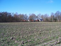 208-542,W,25-03-2012,NL,Piet de Geus,52.86735 NB-6.1827 OL,Westerveld