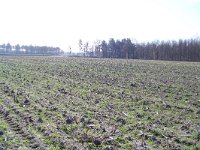 208-542,Z,25-03-2012,NL,Piet de Geus,52.86735 NB-6.1827 OL,Westerveld
