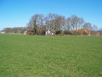 209-543, Westerveld