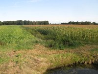 210-535, Westerveld